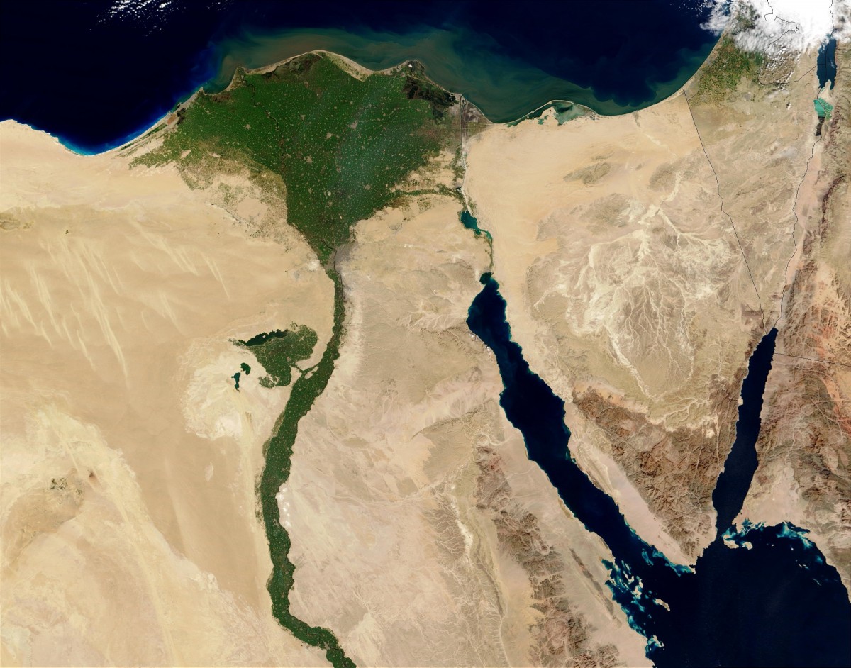 Featured Image